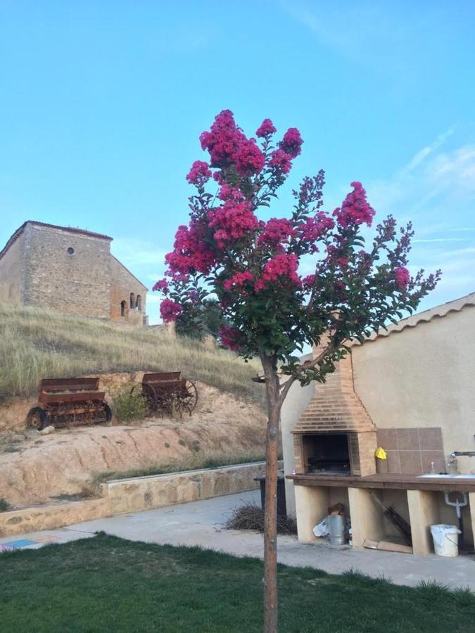 Casa Rural La Charolesa Aguilera Экстерьер фото