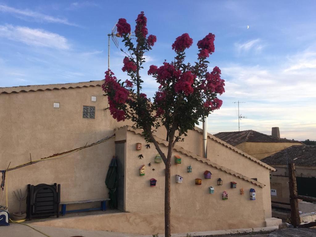 Casa Rural La Charolesa Aguilera Экстерьер фото